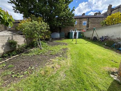 Picture 25